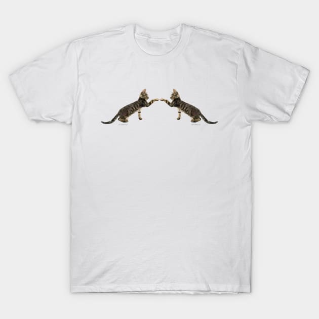 The Mirrored Cat T-Shirt by newmindflow